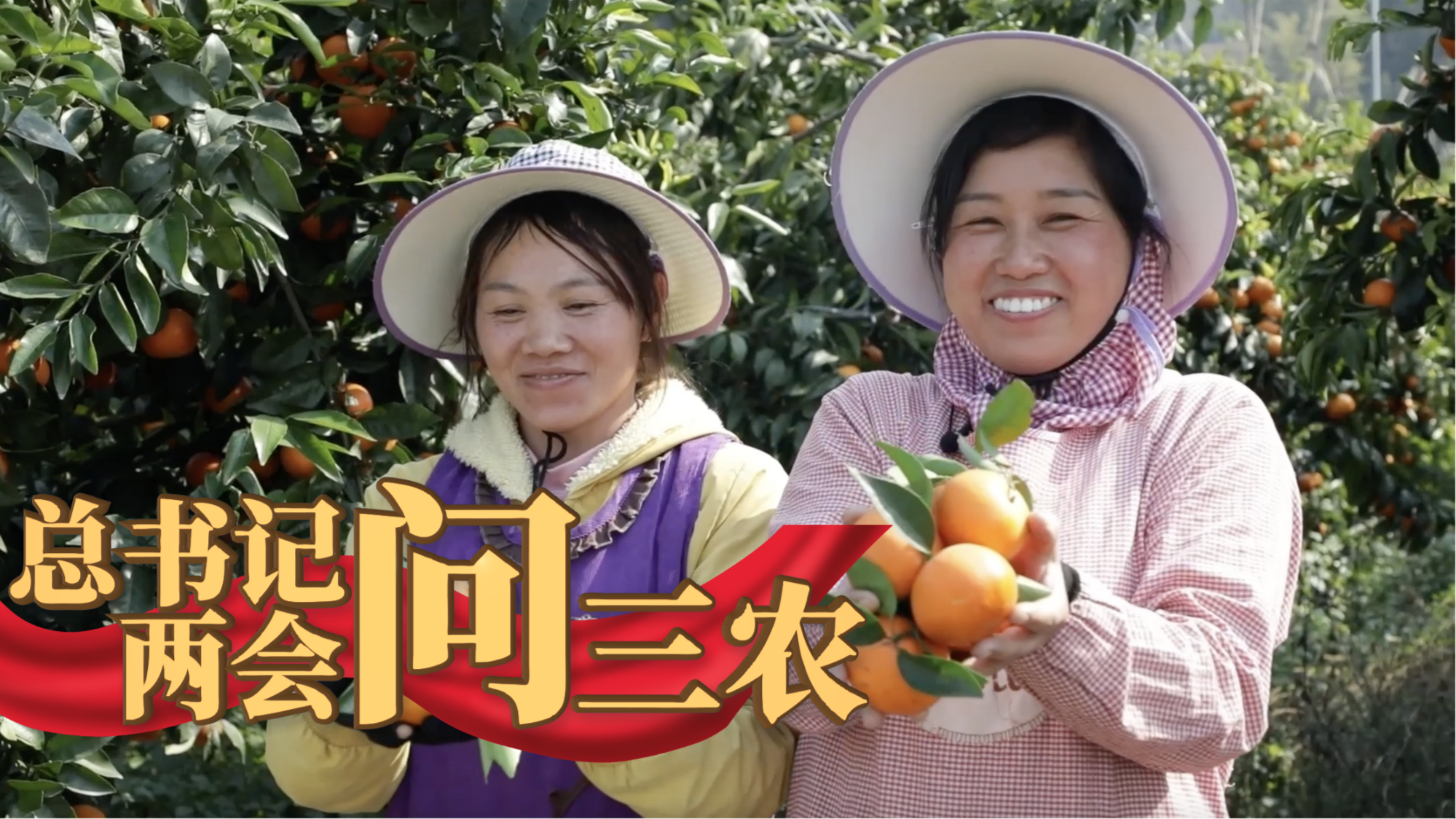 總書(shū)記兩會(huì)問(wèn)三農(nóng)